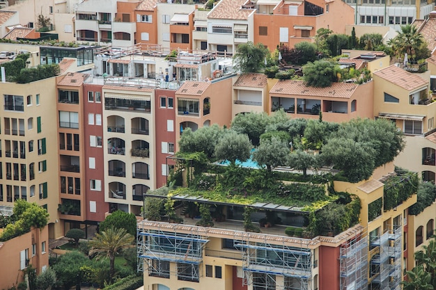 Wide angle shot of trees growing on the buildings of a city