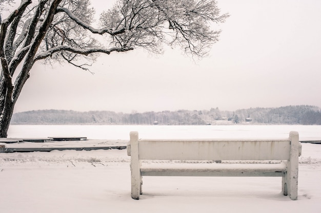 Free photo wide shot of a bench in a park covered in the snow next to a tree