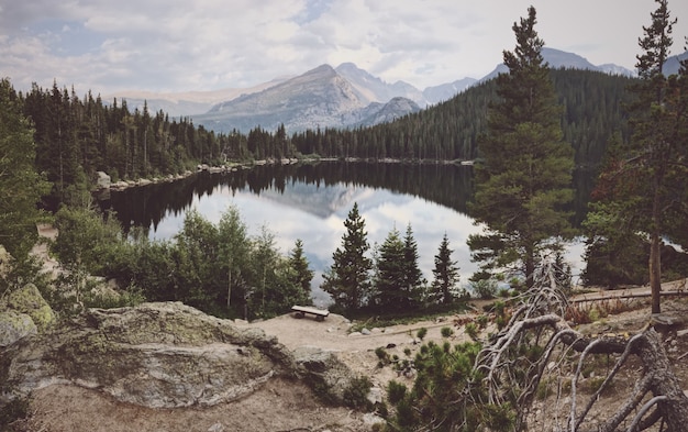 Wide shot of a  big pond surrounded by trees with a mountain in the background