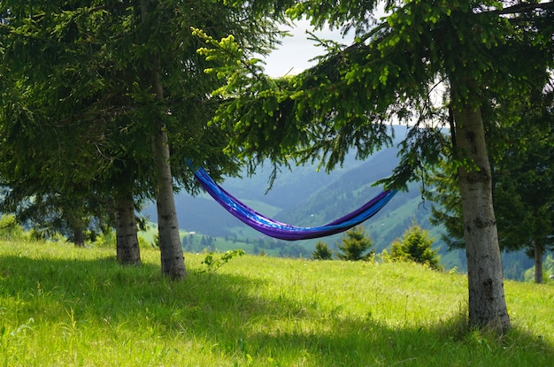 Free Photo wide shot of a blue hammock tied to two trees on a hill with a beautiful view of nature