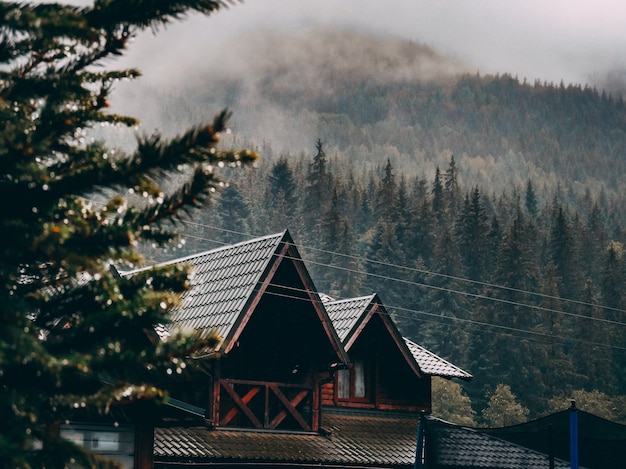 Free photo wide shot of a brown house surrounded by a forest of spruce trees under clouds