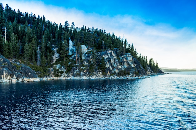 Wide shot of a clear blue sea near a mountain covered with pine trees under a clear sky