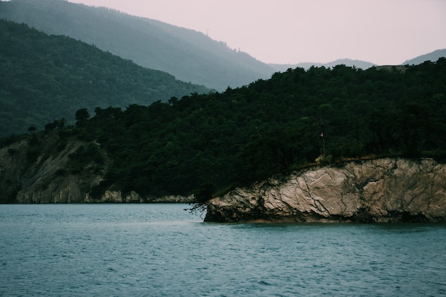 Wide shot of a cliff covered with green trees by the sea