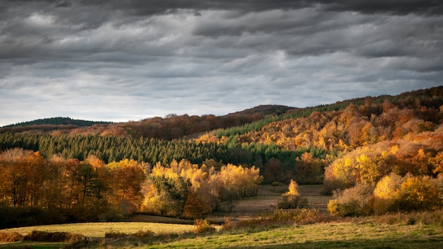 Wide shot of forested hills with a cloudy sky in the background at daytime