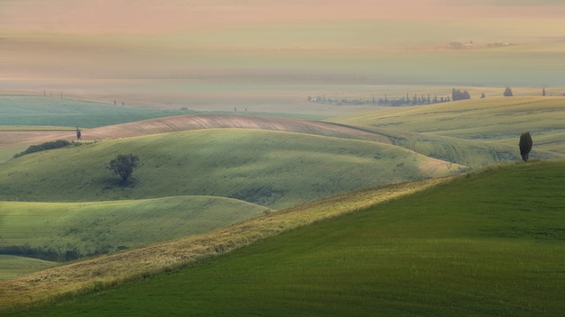 Free photo wide shot of grassy hills with trees under a cloudy sky