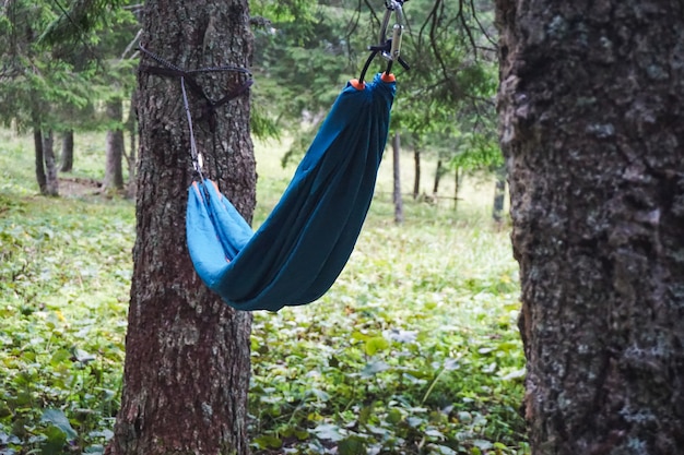 Free photo wide shot of a hammock tied between two trees in a camping ground on a cool day