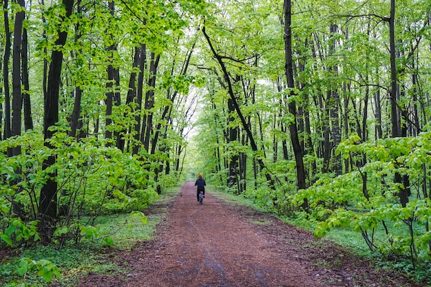 Free Photo wide shot of a man riding a bicycle on a pathway in the middle of a forest full of trees