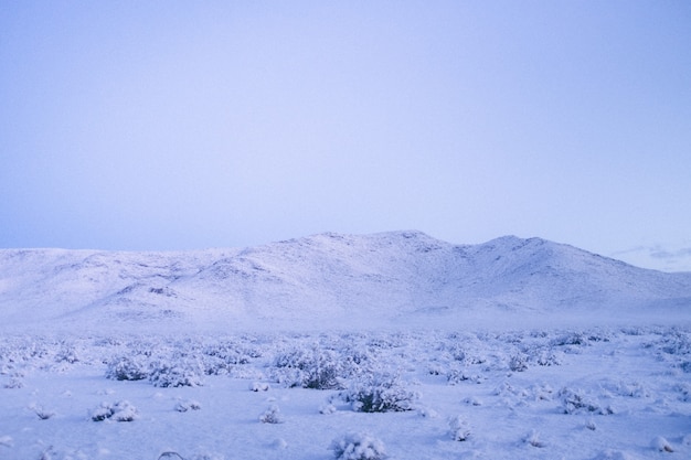 Free Photo wide shot of a mountain covered in snow