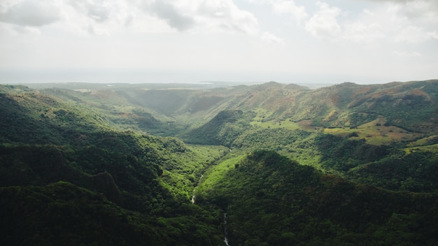 Free Photo wide shot of river going through the forest and the mountains captured in kauai, hawaii