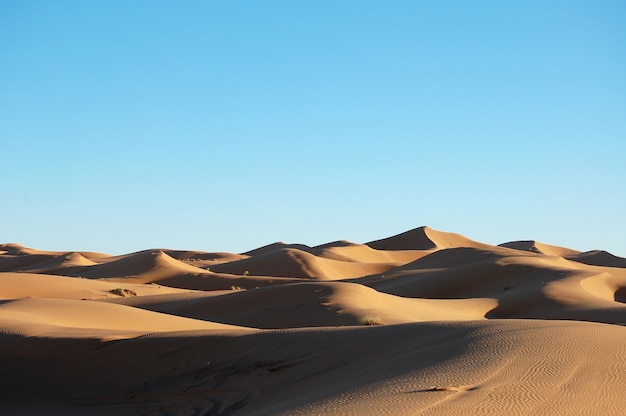 Free photo wide shot of  sand-dunes in a desert at daytime