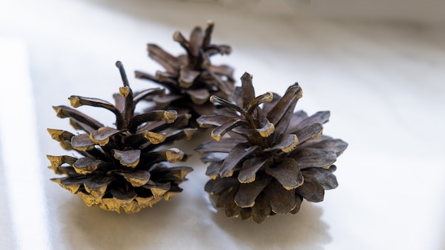 Wide shot of three pine cones near to each other on a white surface