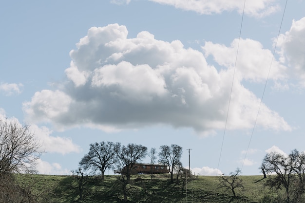 Wide shot of trees in a green grass field near a wooden cabin under a clear sky with white clouds