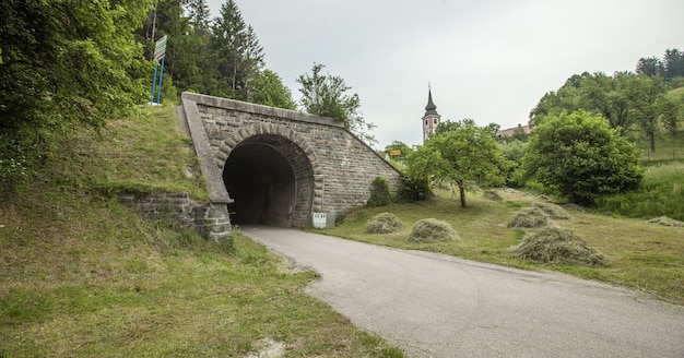 Free Photo wide shot of a tunnel of an old railway on slovenia on a cloudy day