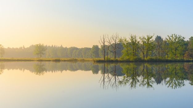 Wide shot of water reflecting the green-leafed trees on the shore under a blue sky