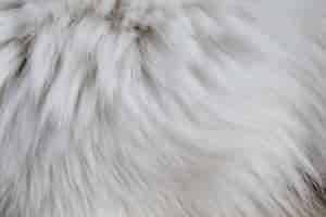 Free photo wild animal pattern  fur texture