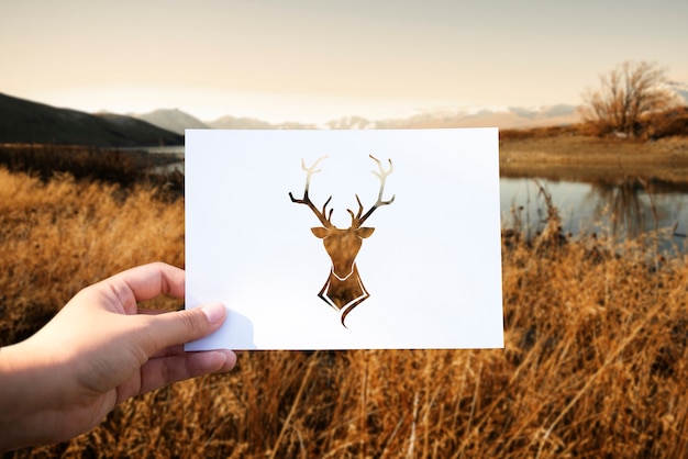 Free Photo wild life animal perforated paper moose