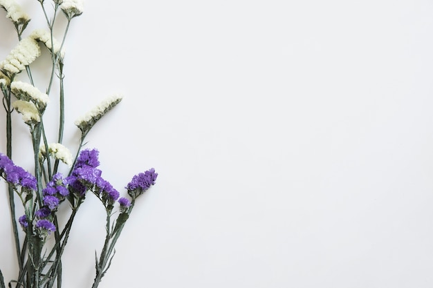 Free photo wildflowers on left for spring