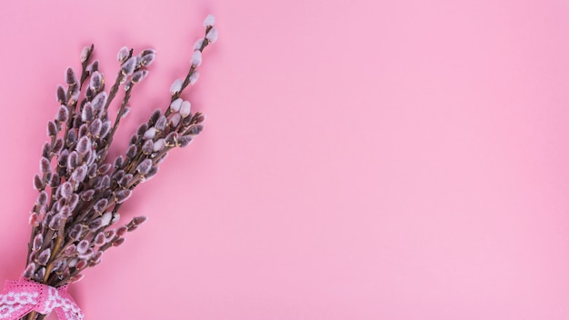 Free Photo willow branches with catkins on pink table