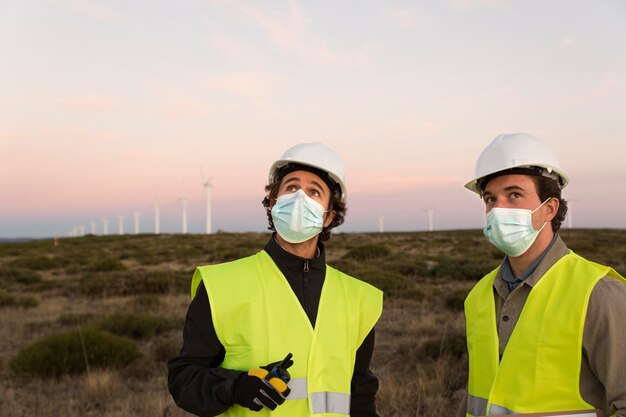 Wind farms fields