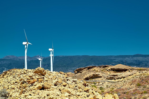 Free Photo wind mills during bright summer day on blue sky background