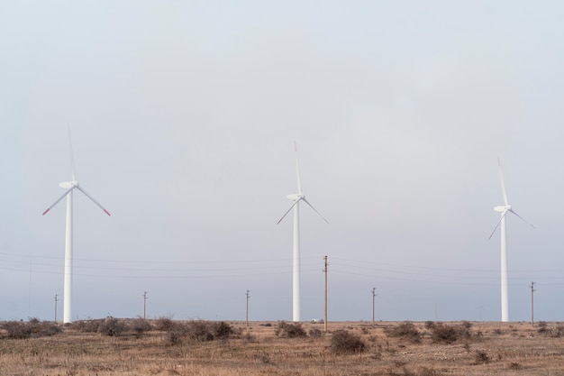 Free Photo wind turbines in the field generating energy