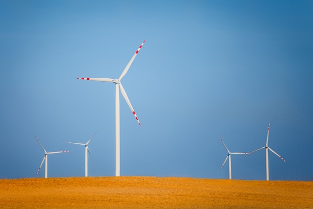 Free photo wind turbines on a field