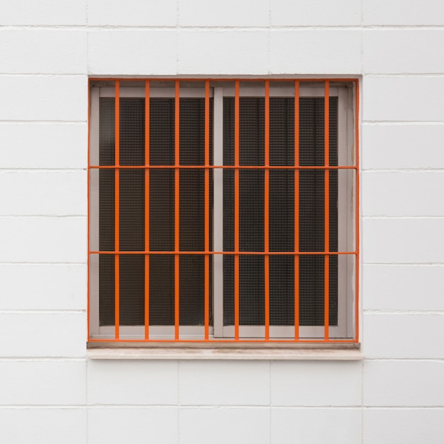 Window