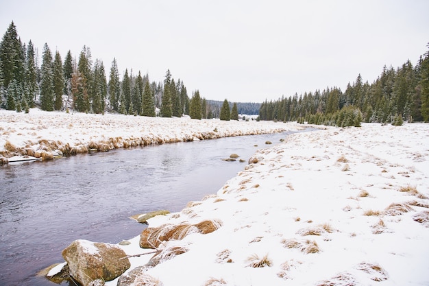 Free photo winter landscape near modrava