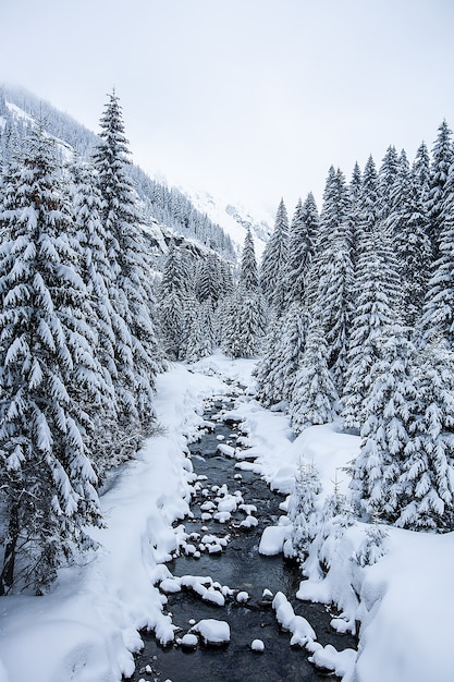 Winter landscape with snow covered trees and great view