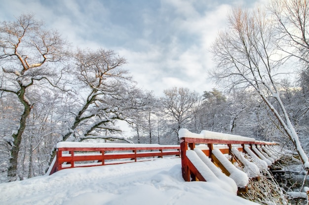 Free photo winter landscape with a snowy bridge