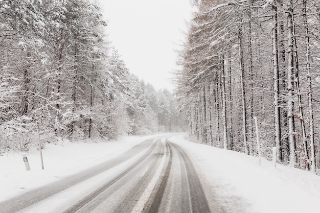 Free photo winter road in clod forest