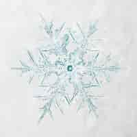 Free photo winter snowflake christmas ornament macro photography, remix of photography by wilson bentley