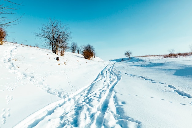 Free Photo wintry landscape scenery with modified cross country skiing way