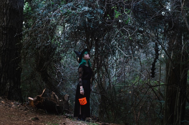 Free photo witch in forest looking up