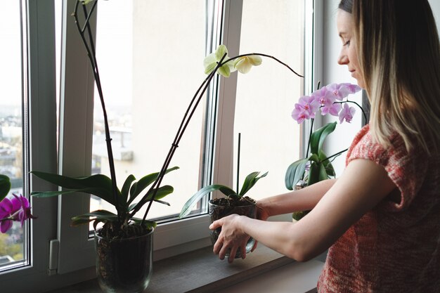 Woman arranging flowers in the house