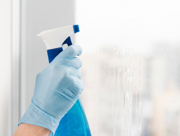 Free photo woman cleaning window