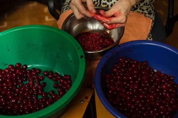 Woman cleans cherries from seeds before cooking jam or juice