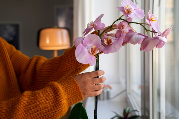 Free Photo woman decorating her home with orchids