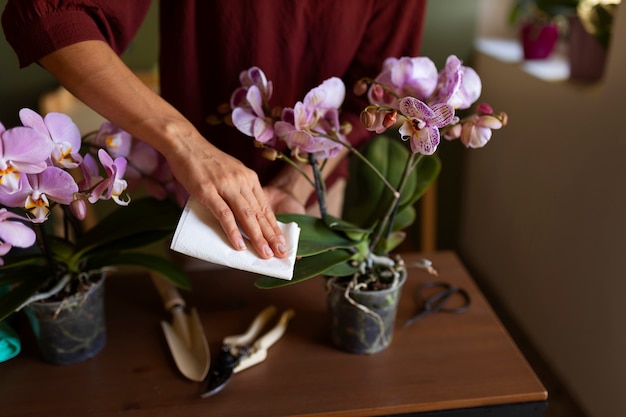 Woman decorating her house with orchids