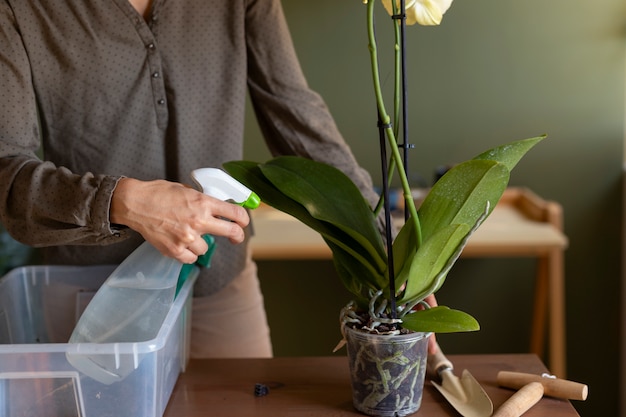 Free Photo woman decorating her house with orchids