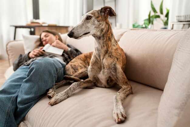 Woman and dog sleeping on couch high angle