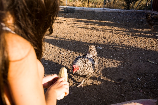 Free photo woman feeding corn kernels to hen in the farm