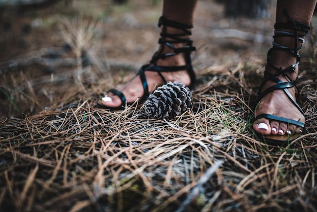 Free photo woman feet near a conifer cones on the ground