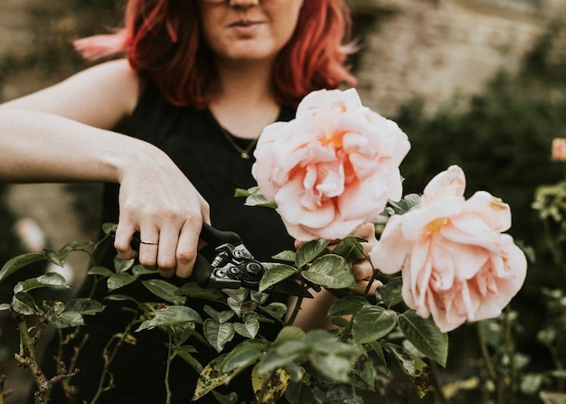 Free photo woman gardener cutting pink rose with garden scissors