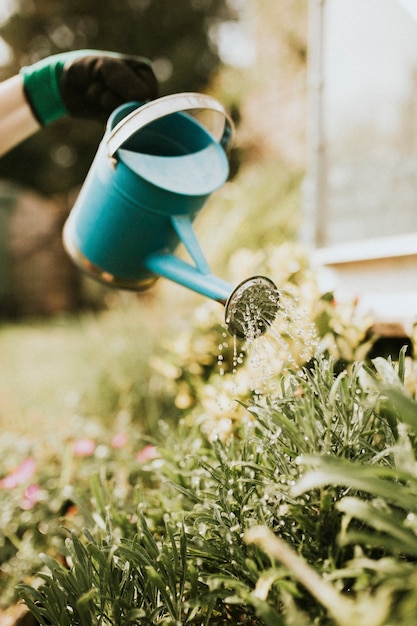 Free photo woman gardener watering plant in garden