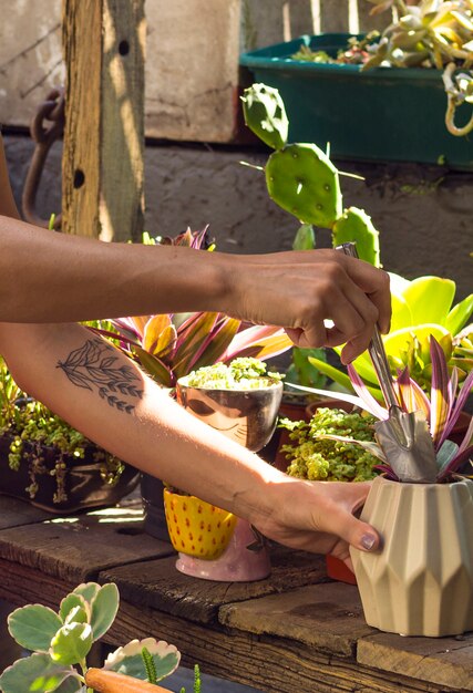 Woman gardening indoors close-up