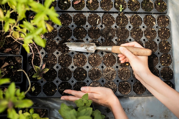 Woman gardening with garden throwel