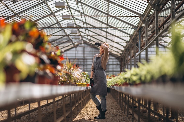 Woman gardner in a greenhouse