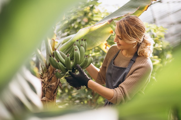 Woman gardner in a greenhouse