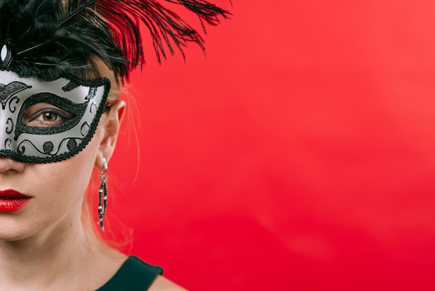 Free Photo woman in grey mask with feathers 